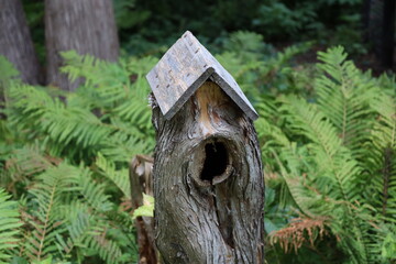 tree stump converted to a bird house