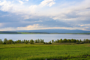 Green farmland, nature in spring, beautiful landscape