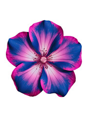 Naklejka premium Isolated PNG Flower, GENERATIVE AI