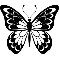 elegant butterfly vector silhouette illustration