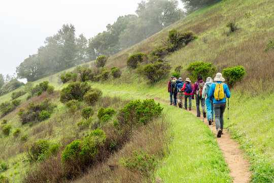 A column of hikers on a trail curving along the side of a slope leading into a fog hidden terrain,  Ipiwa trail, Skyline Ridge OSP, California