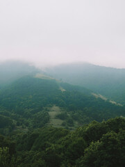 Kayalıdere waterfall and jungle road.