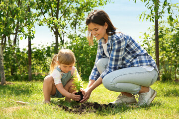 Mother and her daughter planting tree together in garden