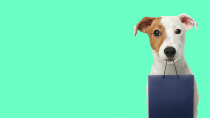 Cute dog with shopping bag on turquoise background, space for text. Banner design