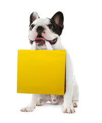 Cute dog with shopping bag on white background