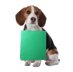 Cute dog with shopping bag on white background