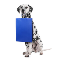Cute dog with shopping bag on white background