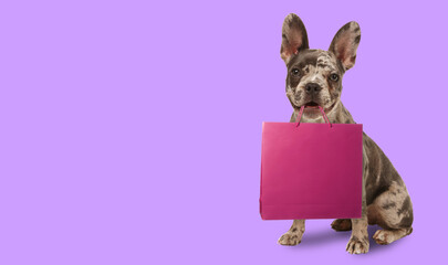 Cute dog with shopping bag on violet background, space for text. Banner design