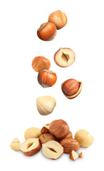 Many fresh hazelnuts falling on white background