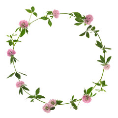 Wreath of beautiful wild flowers isolated on white