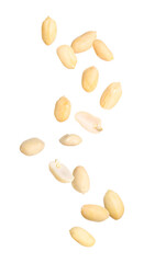 Many peanuts in air on white background