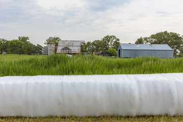 Wrapped hay bales along a fence line on a farm with vintage buildings, dairy barn, and silo, on a...