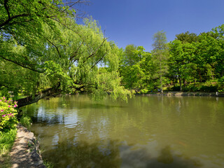 石神井公園　石神井池　東京都
