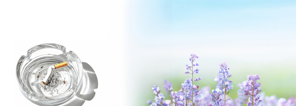 Stop smoking design concept, tobacco free lifestyle illustration background, crushing the last cigarette in an ashtray and enjoy freedom, fragrances of nature in spring, breathing good smells 