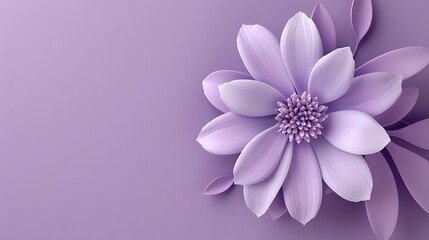 Fototapeta premium flower, pink, nature, isolated, flowers, daisy, beauty, plant, flora, spring, purple, white, blossom, floral, bloom, summer, chrysanthemum, petal, garden, petals, beautiful, macro, closeup, color, bou
