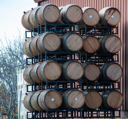 wine barrels in a cellar