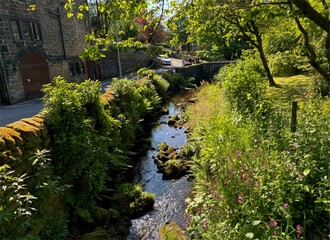 A peaceful stream winds its way through a tranquil setting, draped with foliage, and dotted with wildflowers along its edges close to, Lumbutts Road in Todmorden, UK.