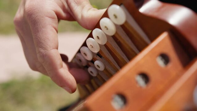 Musician Boy Plays Tarantella Music Calabria With Accordion Instrument Outdoor