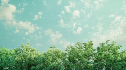 Trees are green against a backdrop of the sky