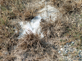 dead white plastic waste on the beach. plastic pollution. environmental pollution.