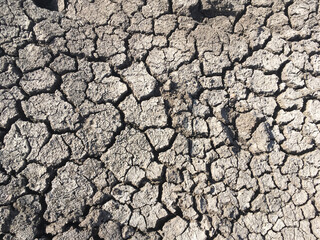 cracked earth background. dry cracked surface. global warming mud cracks.