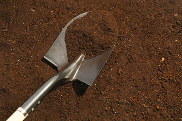 Metal shovel on fertile soil, space for text. Gardening tool