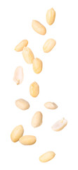 Many peanuts in air on white background