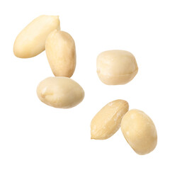 Many peanuts in air on white background
