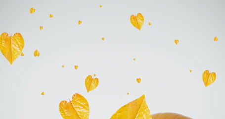 Image of leaves falling over pumpkins