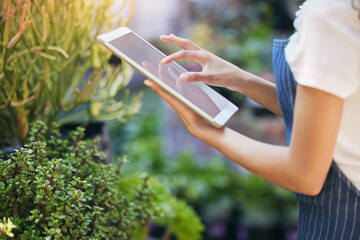 Hands, plants and touch in nursery with tablet, online search and growth for sustainable botany app or eco friendly. Houseplant, leaves or organic nature for small business, horticulture and gardener
