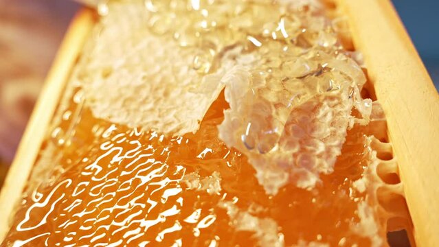 Apiarist unseal honeycomb frame with knife. Organic honey flows, tasty process.