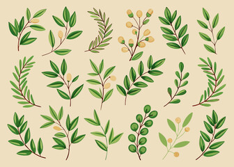 Naklejka premium set of variation of hand drawn olive