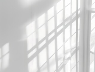 Natural light rays casting minimal shadows on a white wall, creating a trace of monotone.