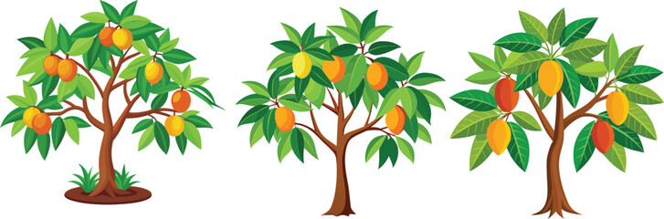 mango tree illustration Vector file 