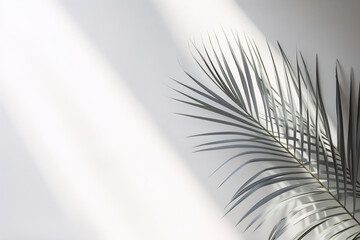 Fototapeta premium Palm leaf casting a shadow on a white wall, with sunlight streaming in, creating a minimalist and serene atmosphere