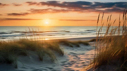 Tableau sur aluminium Paysages Golden sunset over a sandy beach with tall grass swaying in the breeze, waves gently lapping at the shore, creating a serene and picturesque coastal scene  © AspctStyle
