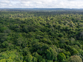 Aerial view of the vast canopy of pristine amazon rainforest in the nature reserve Amazon National Park