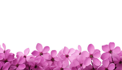 pink flowers border isolated on transparent background cutout