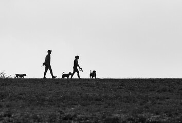 family walking in the park