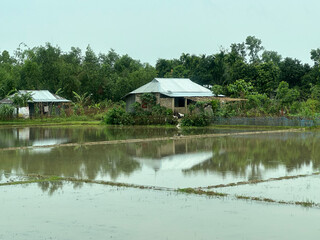 Flooded farmland in Lawachara National Park, Sreemangal, Bangladesh
