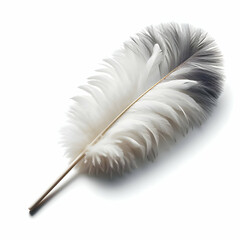 Feather Strick 