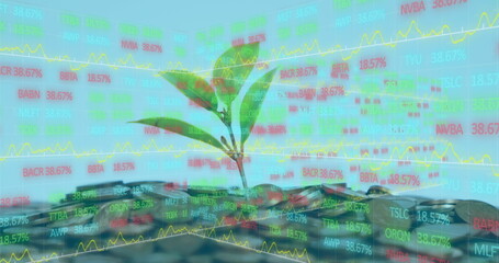 Image of financial data processing over money and plant on blue background