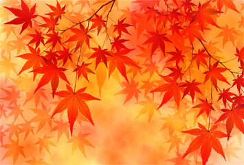 Fototapeta premium 紅葉 葉 秋 背景 