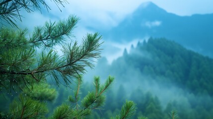 Obraz premium Misty mountain landscape with pine trees in the foreground, evoking a serene and tranquil atmosphere, perfect for nature and landscape themes.