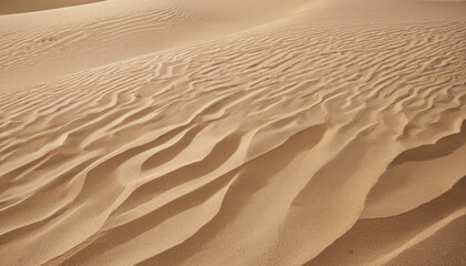 A desert scene with sand dunes and a few small rocks