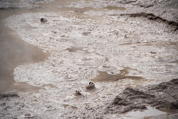 Mudpools in Te Puia - Rotorua - New Zealand