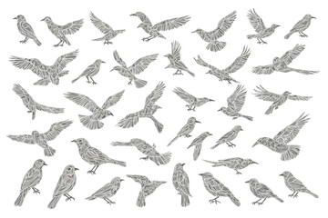 Geometric Bird Silhouettes Illustration