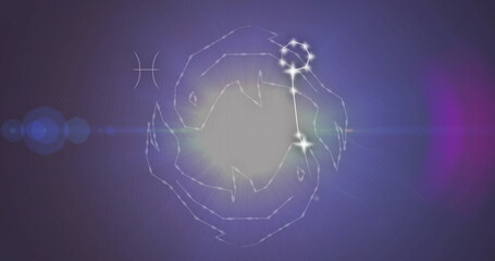 Image of connected stars forming pisces symbol against black background