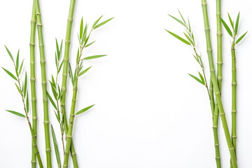 Obraz premium Green Bamboo Shoots on White Background