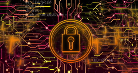 Image of padlock in circles and circuit board pattern over black background